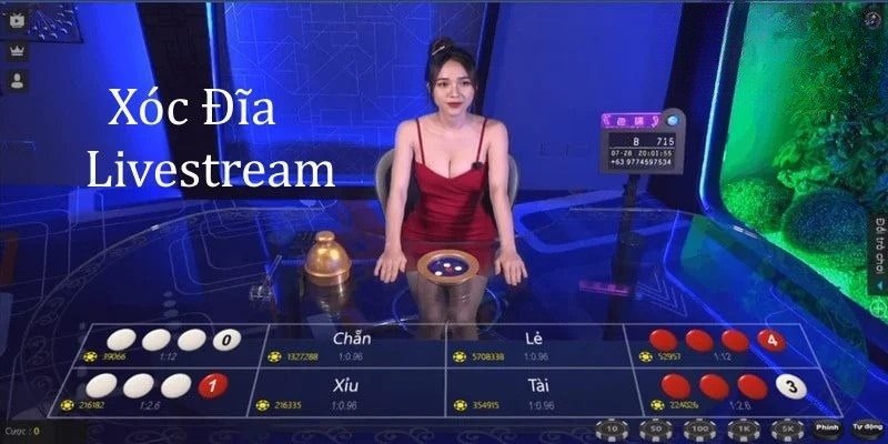 Khám phá trải nghiệm Xóc Đĩa trực tuyến hấp dẫn