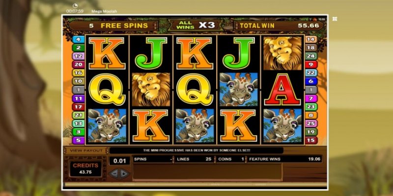 Theo dõi jackpot và thực hiện rút tiền